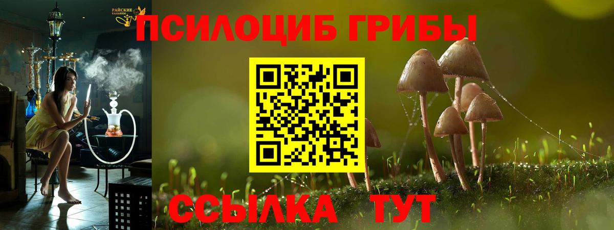 Псилоцибиновые грибы GOLDEN TEACHER Кызыл